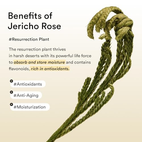 Abib Jericho Rose Eye & Serum Duo – Vegan Collagen Jelly Eye Patches for Wrinkles & Fine Line with Jericho Rose Jelly, 60 Count, Bifida Firming Serum Korean Skin Care - view 3