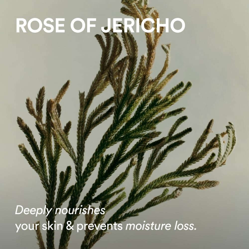 Abib Jericho Rose Skin Texture & Moisture Duo – PHA Toner + Hypoallergenic Cream for Dry Skin - view 3
