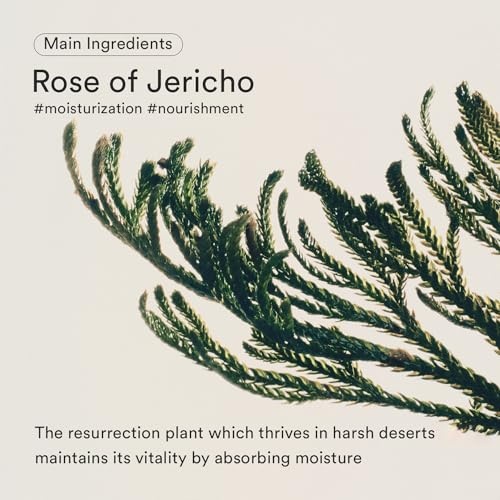 Abib Radiant Nourishment Duo: Jericho Rose Bifida Serum Firming Drop & Jericho Rose Cream Nutrition Tube I Anti-Aging Moisturizer for Dry & Textured Skin - view 2