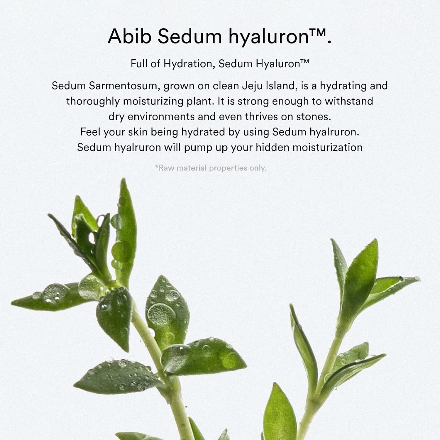 Abib Green LHA Pore Pad Clear Touch – BHA Exfoliating Toner Pads for Pore Care, Sebum Control & Skin Texture Refining, Korean Skincare, 70 Pads 230mL(Hydrating (Sedum) 75 Pads)